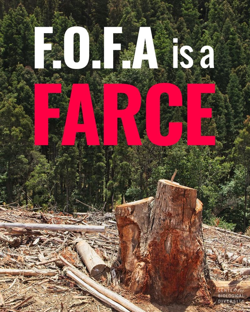 Image shows a forest that is partially clearcut with many felled trees and a large stump in the foreground. In the background is the remaining standing trees. White and red text is overlaid on the image and reads "F.O.F.A is a farce"