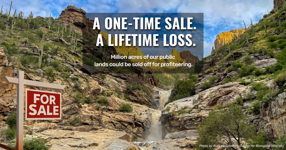 Promotional image featuring a 'For Sale' sign in front of a scenic waterfall and rocky landscape with the text: 'A ONE-TIME SALE. A LIFETIME LOSS. Million acres of our public lands could be sold off for profiteering.' 