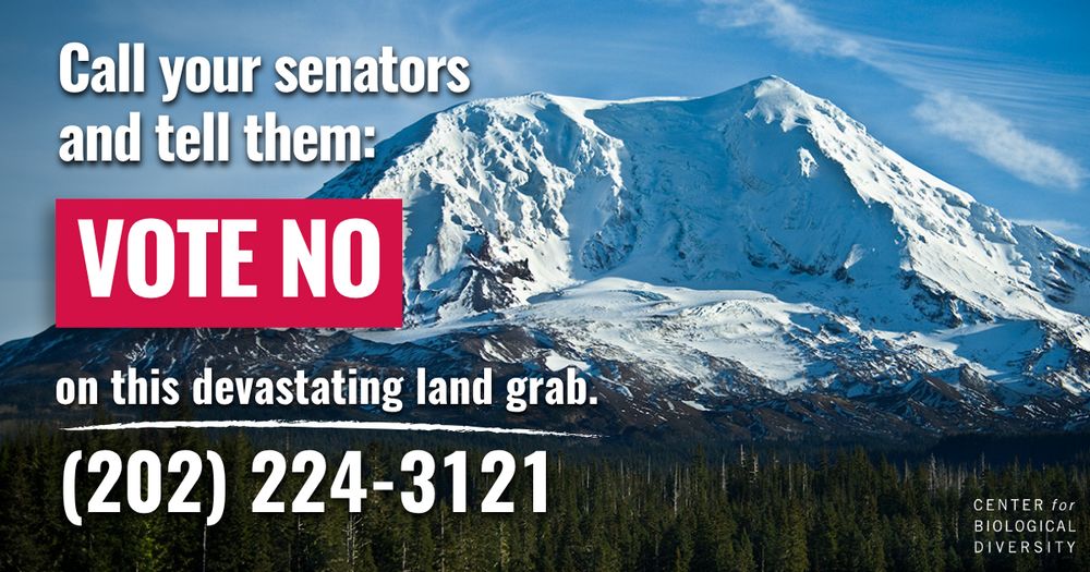 There is a large, snow-covered mountain in the background. Evergreen trees are at its base in the foreground. The sky is bright blue with whispy clouds. White text is centered over the image and reads: Call your senators and tell them: vote no on this devastating land grab. (202) 224-3121