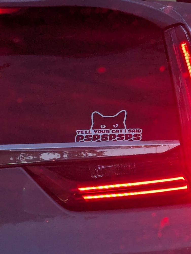 Car window sticker with a picture of the top half of a cats head, like it's looking over the edge of something. Which reads "Tell your cat I say pspapsps"