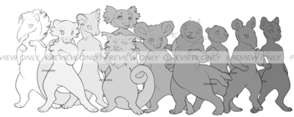 Preview