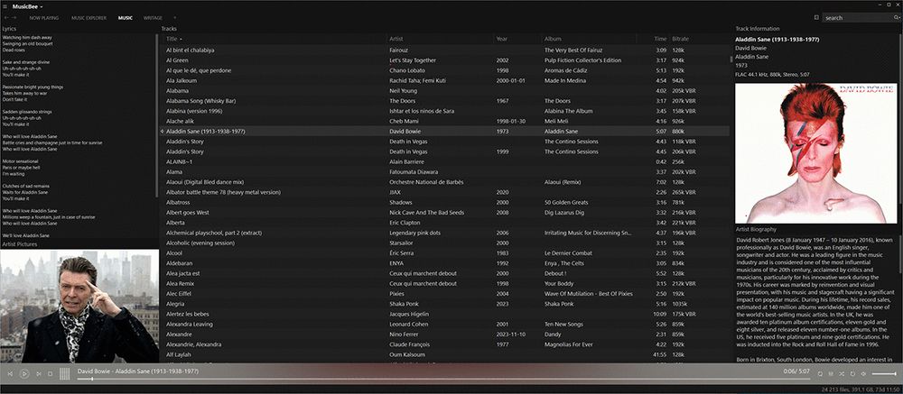 A screenshot showing a somewhat sophisticated MusicBee Windows music player configuration.
It's a sleek black window with white text showing a large chunk of tunes from different eras, genres and countries.
This setup always shows the lyrics, artist picture, bit rate, album cover, artist wikipedia entry, year of recording and other information.
The player was paused whilst playing David Bowie's landmark Aladdin Sane tune, which is immediately visible from the pictures.
