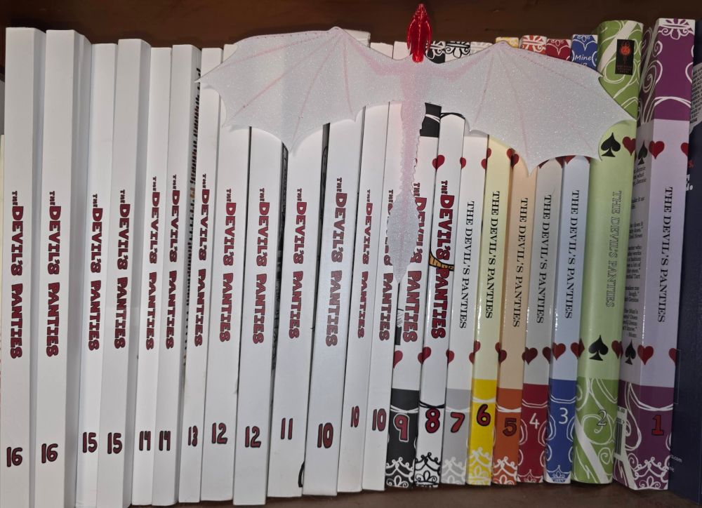 Picture of multiple copies of Devil's Panties, vol 1-16, with many duplicates, with a Dragon stuck between 9 and 10