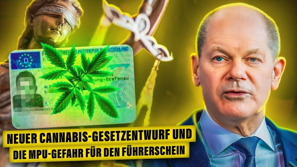 ALARMSTUFE ROT: Neues Cannabis-Gesetz gefährdet Führerscheine! | ON MPU | 2023