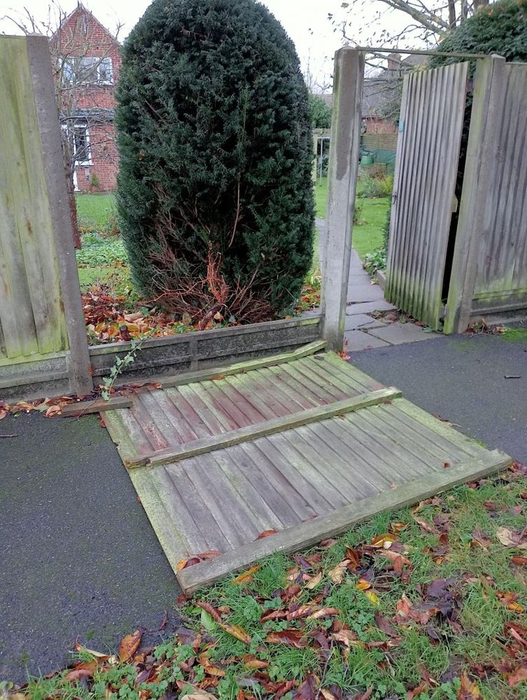 Blown down fence panel