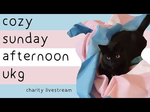 sunday afternoon ukg to support Trans Lifeline to - FTMTF40PH raid train livestream garage/house mix
