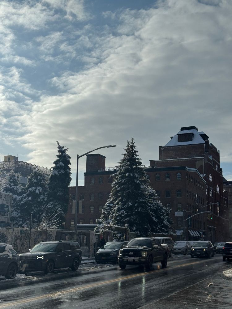 A large tree in a large lot is covered in snow as a large mass of clouds passes behind. There is a wet road with some cars in the foreground. The sun shines from the right of the picture. 
