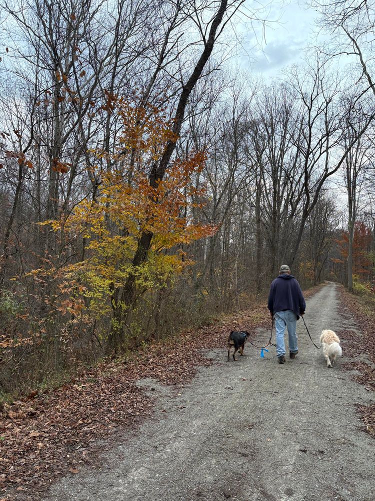 Tricolor tree on left, a very good fella and Betsy and Alf hiking on the West Penn Trail
