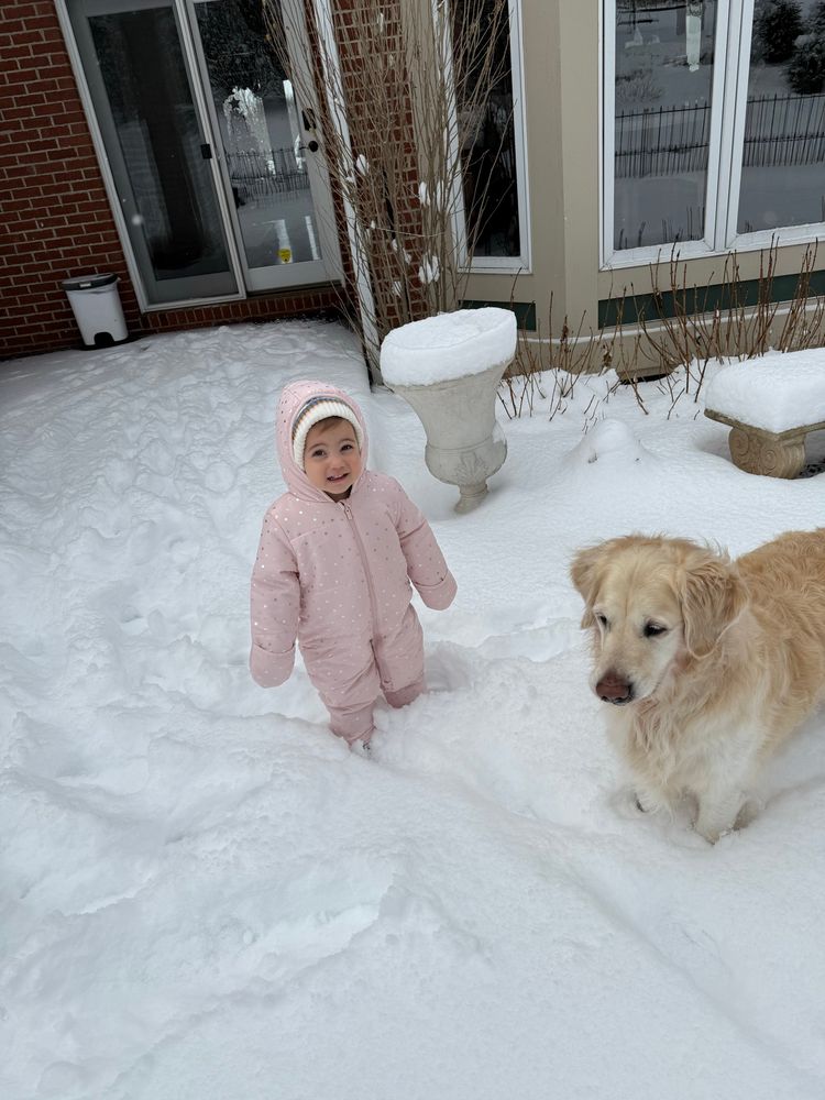 A small girl snow-lover bundled in her pink too-big snowsuit with her faithful golden retriever big brother. Both love the snow