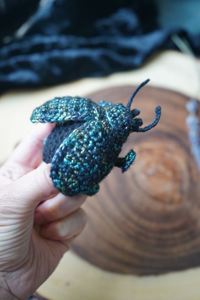 A little blue-green iridescent crochet beetle is held by a hand above a round wooden stump plank. 