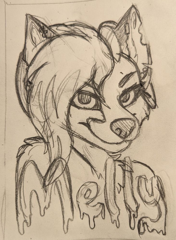 A bust sketch for a furry badge. The character is a fox named Melly