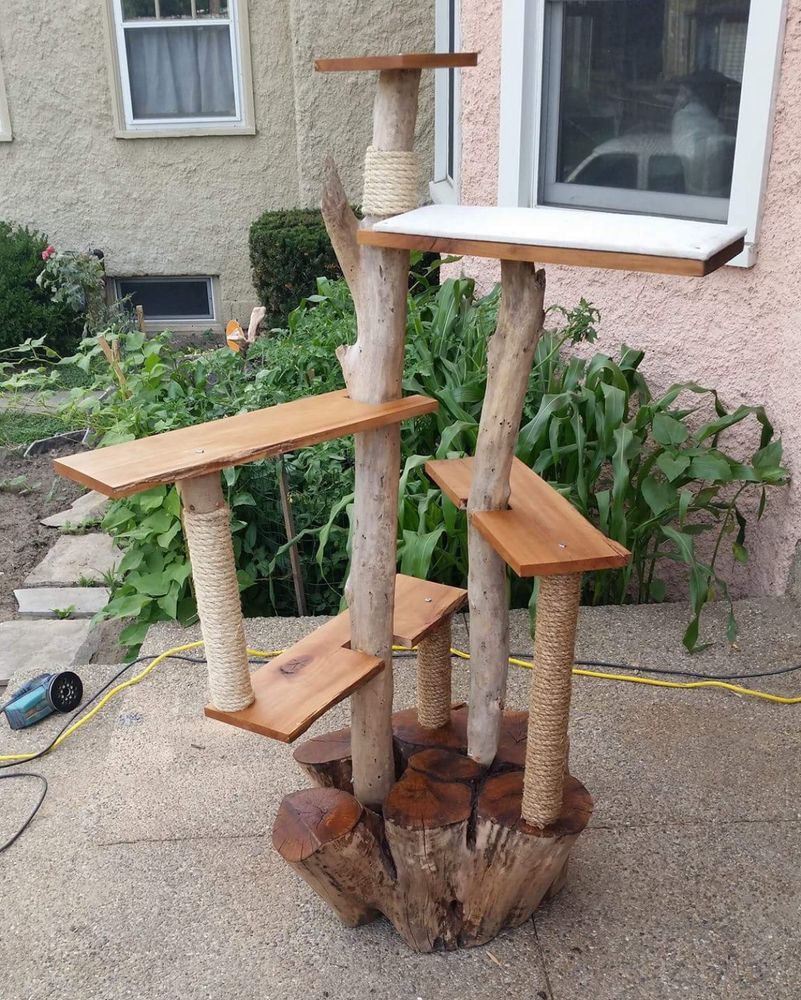 aged stump with oiled tops. attached are four pieces of driftwood, some wrapped in cord. attached to the driftwood are five oak shelves. one braced with a fourth piece of driftwood.

one shelf is padded and covered in white cotton fabric 

in the background is a pink stucco house with a garden in front of it, behind that is a tan stucco house