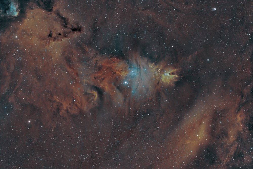 NGC2264 (The Christmas tree and the Cone Nebula), in SHO colors.