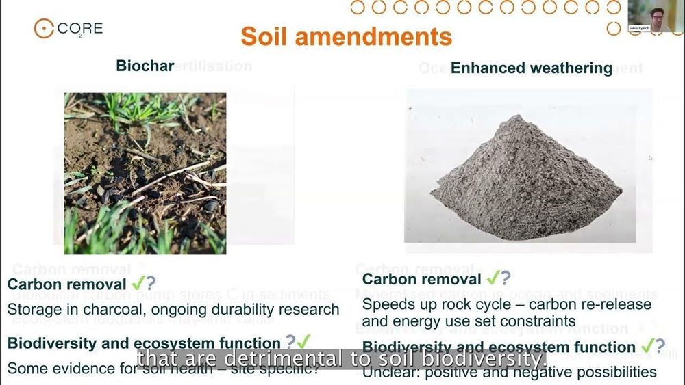 GGR Insights: What types of CDR are ‘nature-based solutions’?