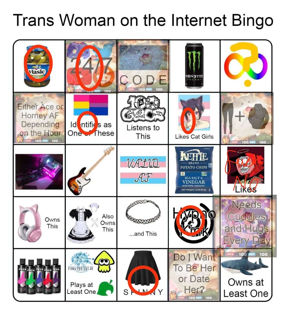 The bingo filled in with the following:
pickles, 24/7 social media, pan-or-bi, likes cat girls, "FUCK NO" over Vaush, hypno kink, spinny (in reference to skirts)
