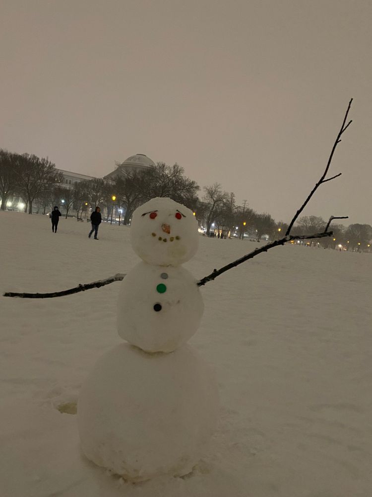 One of many snowmen dotting around.