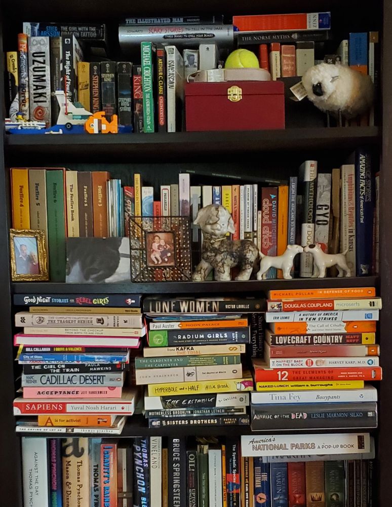 A photo of 3 and a half shelves of a loosely-organized bookshelf, double-filled and overflowing with books, knick-knacks, and small photos