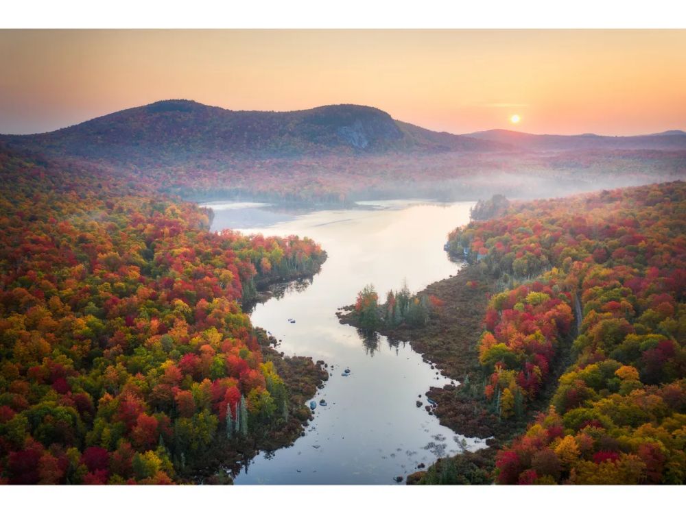 See 24 Beautiful Photos of Fall Foliage in Its Most Vibrant Colors