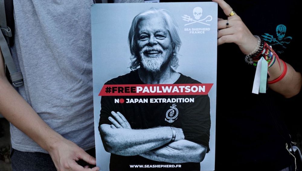 Capitaine Paul Watson, des cachalots au cachot