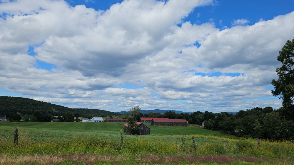 Photo of barns with red roofs on farm 