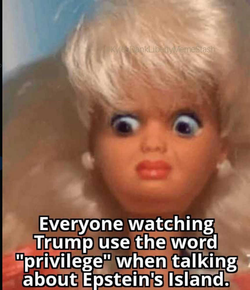 Barbie like doll looking shocked with words in white written over her. 