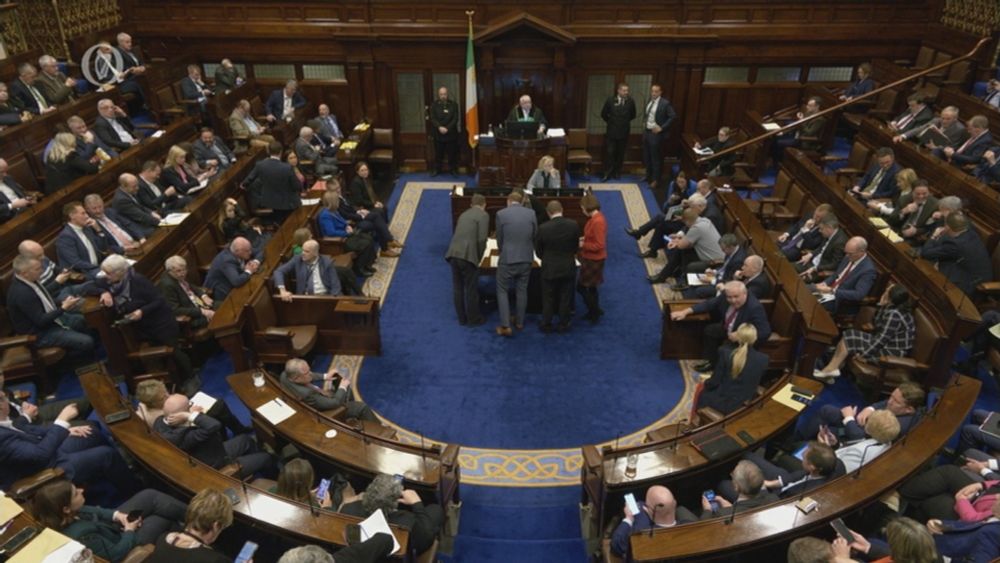 A short history of the party whip system in Irish politics