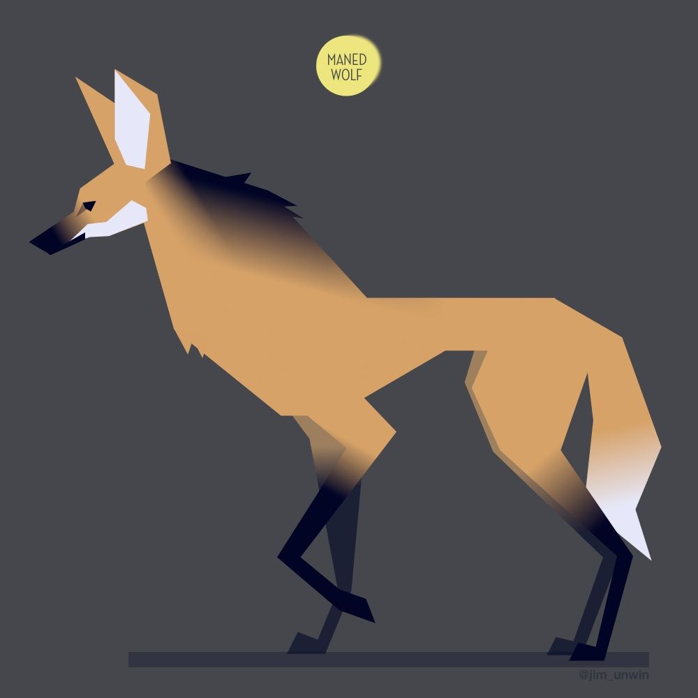 Stylised drawing of a maned wolf 