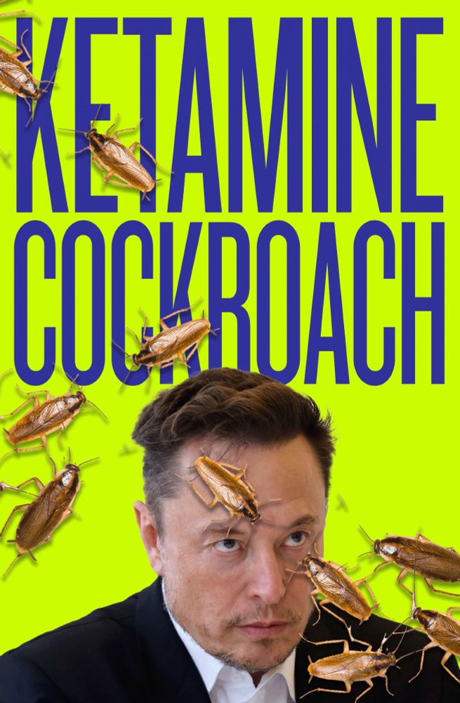 Comment image