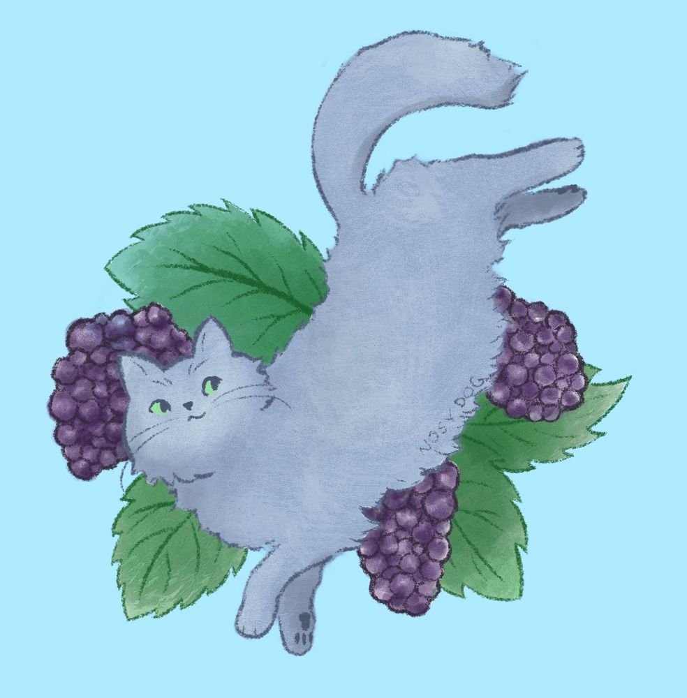 An illustration of a blue-gray cat leaping amongst some blackberry leaves and berries.