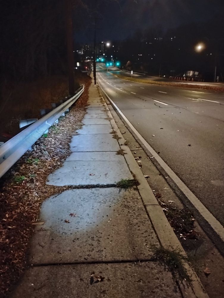 Uneven sidewalk along New Hampshire Avenue in Takoma Park, between Larch Avenue and Sligo Creek Parkway