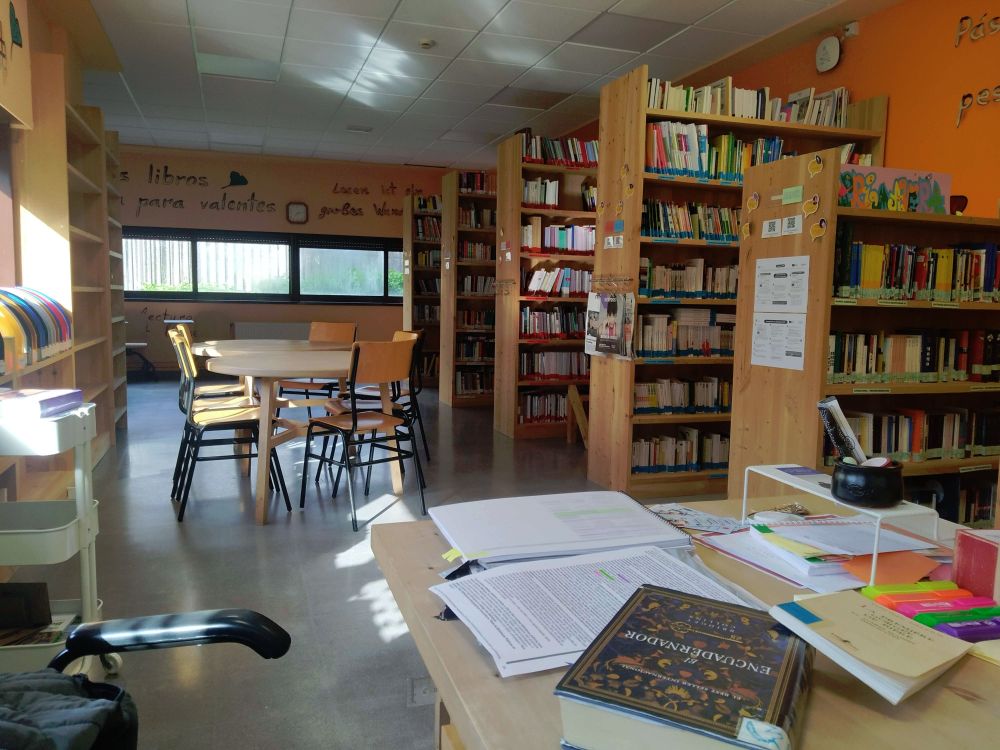 A picture of a library. I worked here as volunteer librarian during 2024-2025 school year