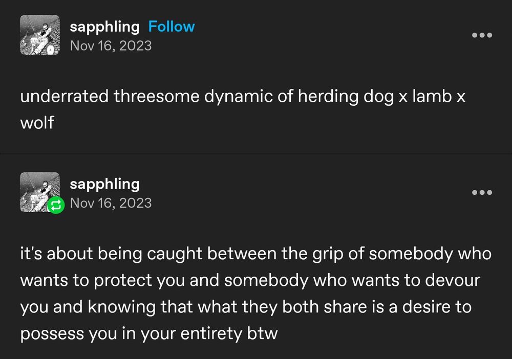Tumblr post by username "sapphling" which reads:

underrated threesome dynamic of herding dog x lamb x wolf

it's about being caught between the grip of somebody who wants to protect you and somebody who wants to devour you and knowing that what they both share is a desire to possess you in your entirety btw