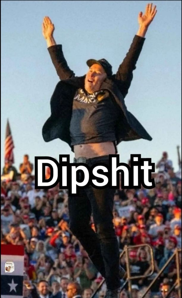 A photo of Elon jumping with the caption "dipshit." 