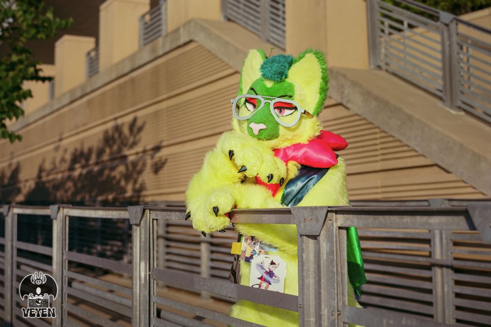 It's a film photo of Kola at Anthrocon 2025. He is by the waterfront area, leaning against a railing. 