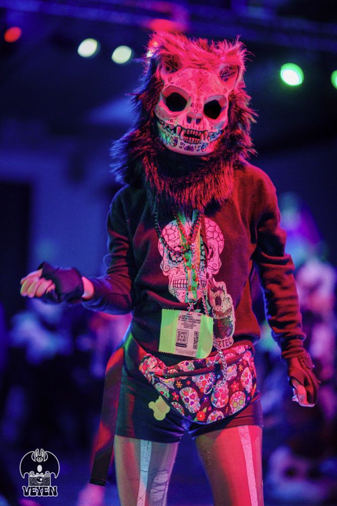 It's a photo of a fursuiter at the Anthro New England 2025 dance. The color channels are untouched. 
