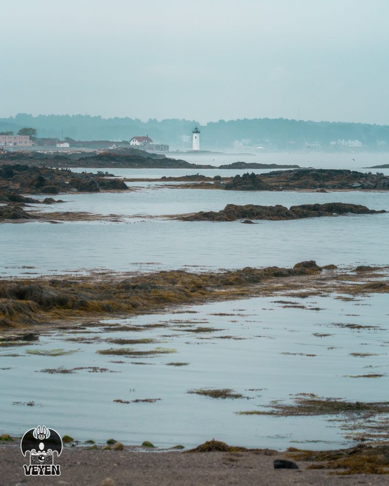It’s a photo of a landscape. There’s a lighthouse in the distance. It’s foggy out.