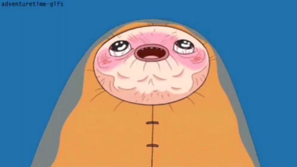 a cartoon drawing of a seal with the words adventuretime-gifs above it