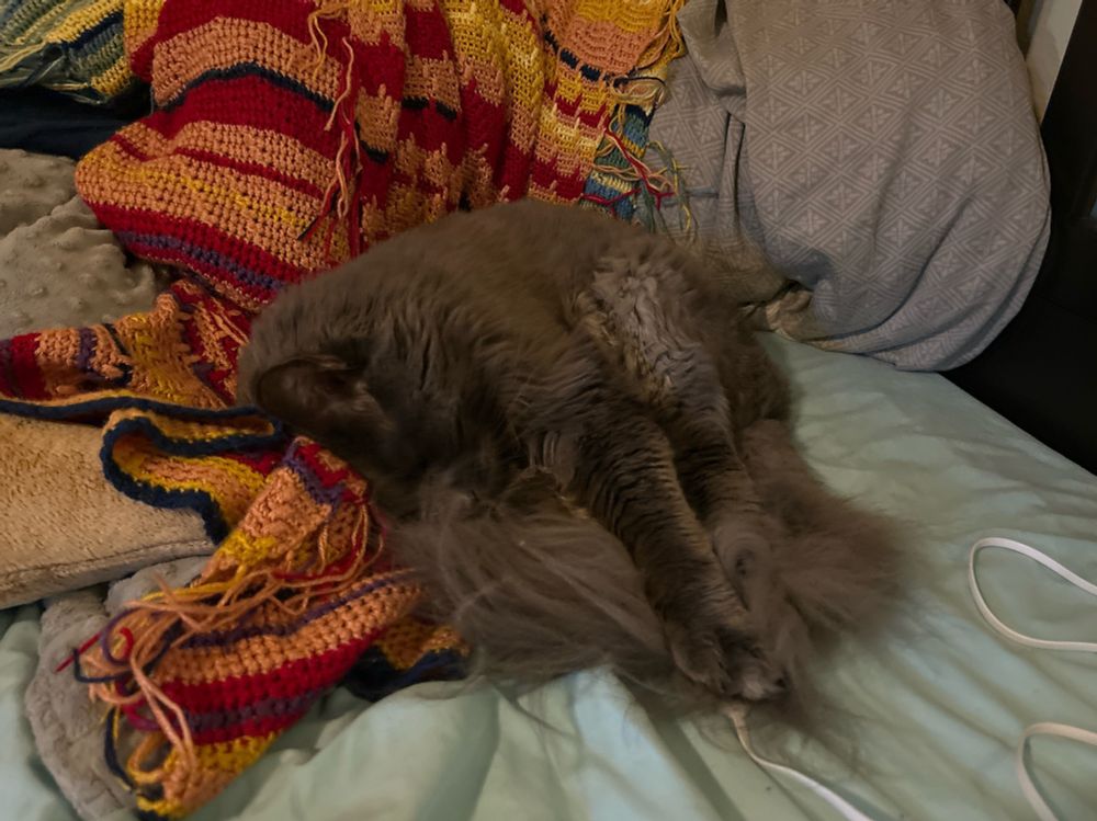 soweli Poteka li soweli suwi. ona li lape. sijelo ona li lukin sama sike. ona li lon len supa lape jan. 