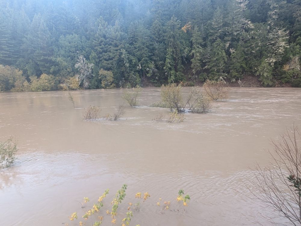 River at 32 feet - giant brown slab of water flowing like  a freight train