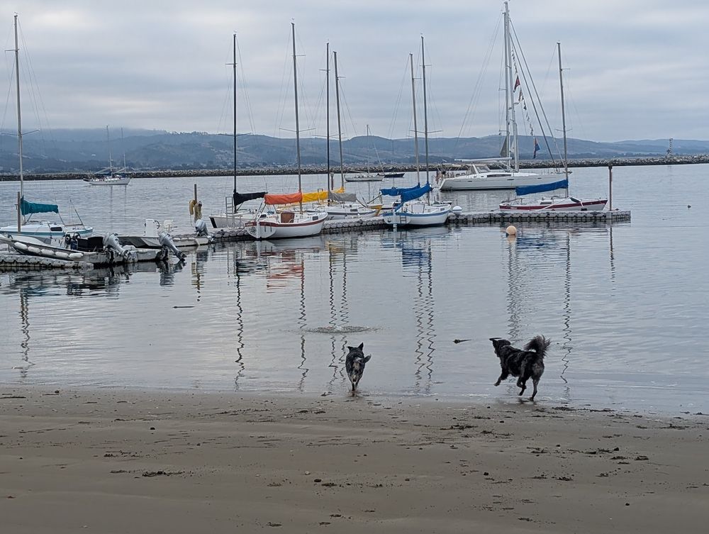 The boys chasing the ball with a floating dock behind it and multiple day-sailing boats mooored 