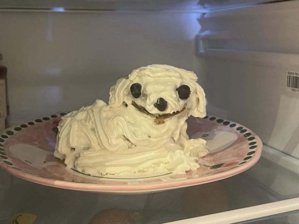 A homemade cake it the shape of a weird white dog, smiling, with blueberries as its eyes. on a pink plate in the refrigerator. 