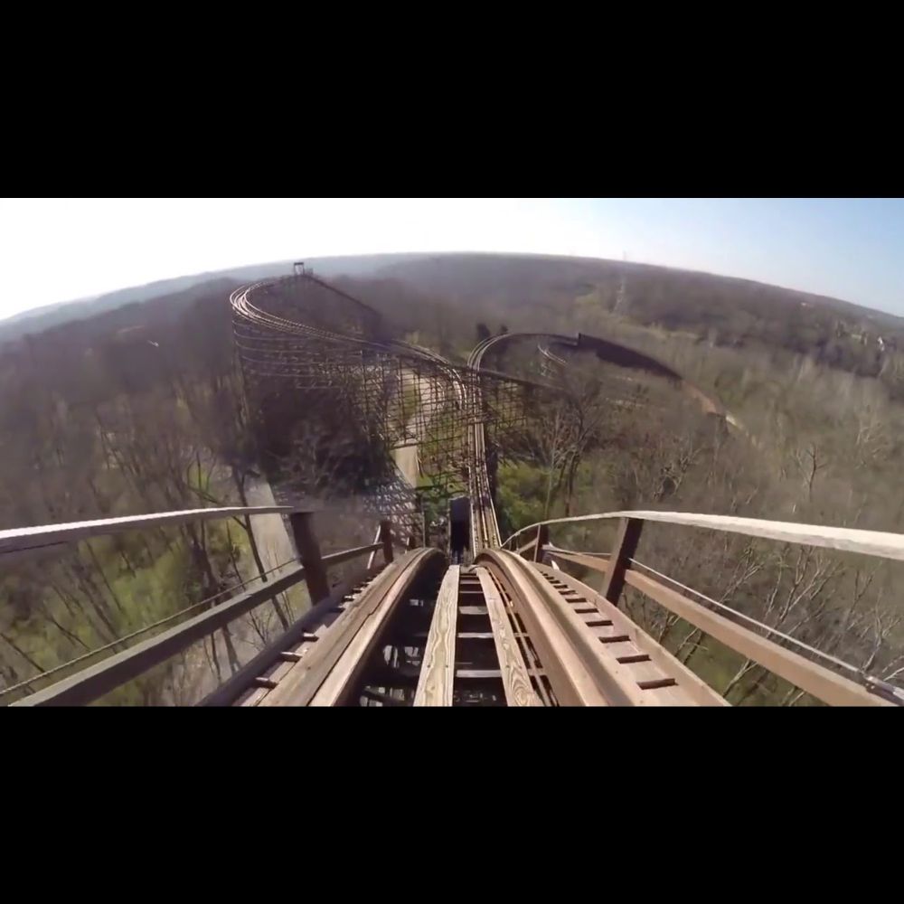 billy corgan rides a rollercoaster