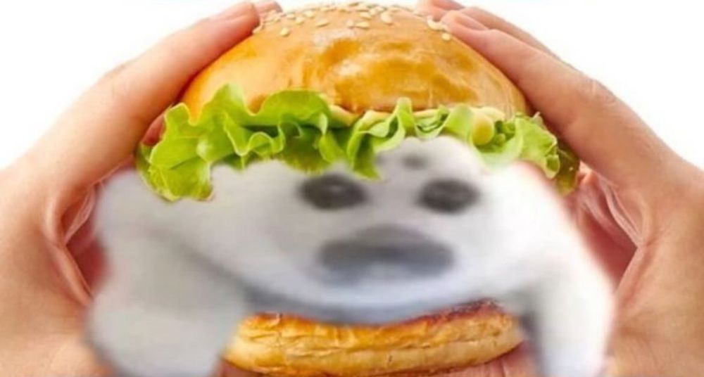 Seal in a hamburger