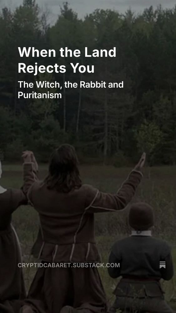 Photo of the family from Robert Eggers' the witch. The title reads "when the land rejects you: the witch, the rabbit and puritanism." 