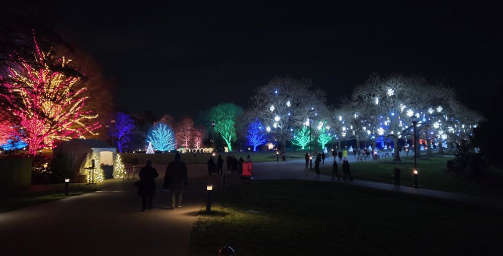 The view looking back from the conservatory toward the visitor center.  the large green lit tree just a smidge left of center is a very old American Elm.  It has Dutch elm disease but is carefully treated to keep it going.  