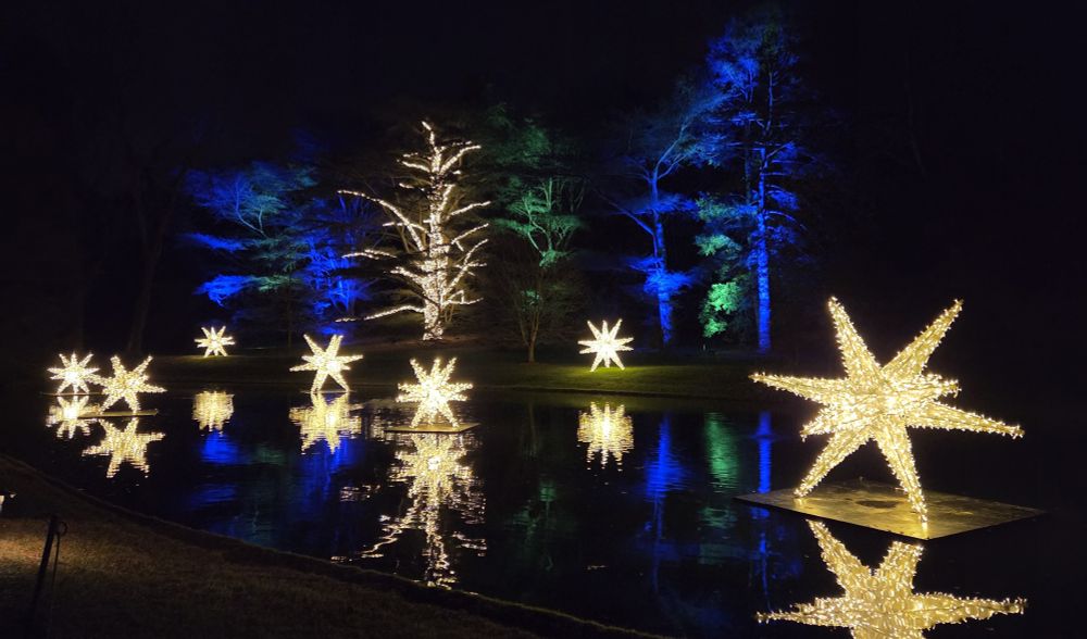Huge many pointed white and gold stars "floating" on the small lake, with evergreens lit up with blue and green in the background.