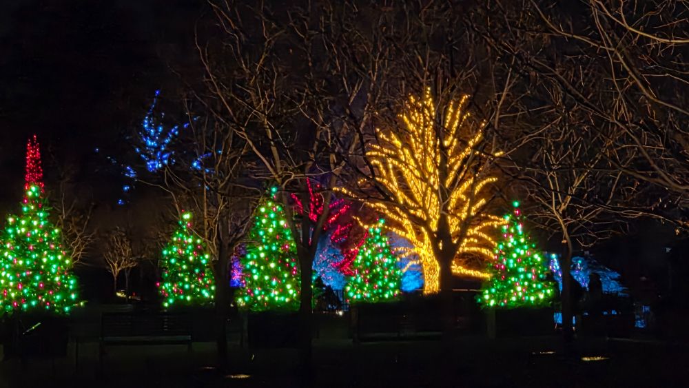 Close ups of the conservatory trees with green and red lights.