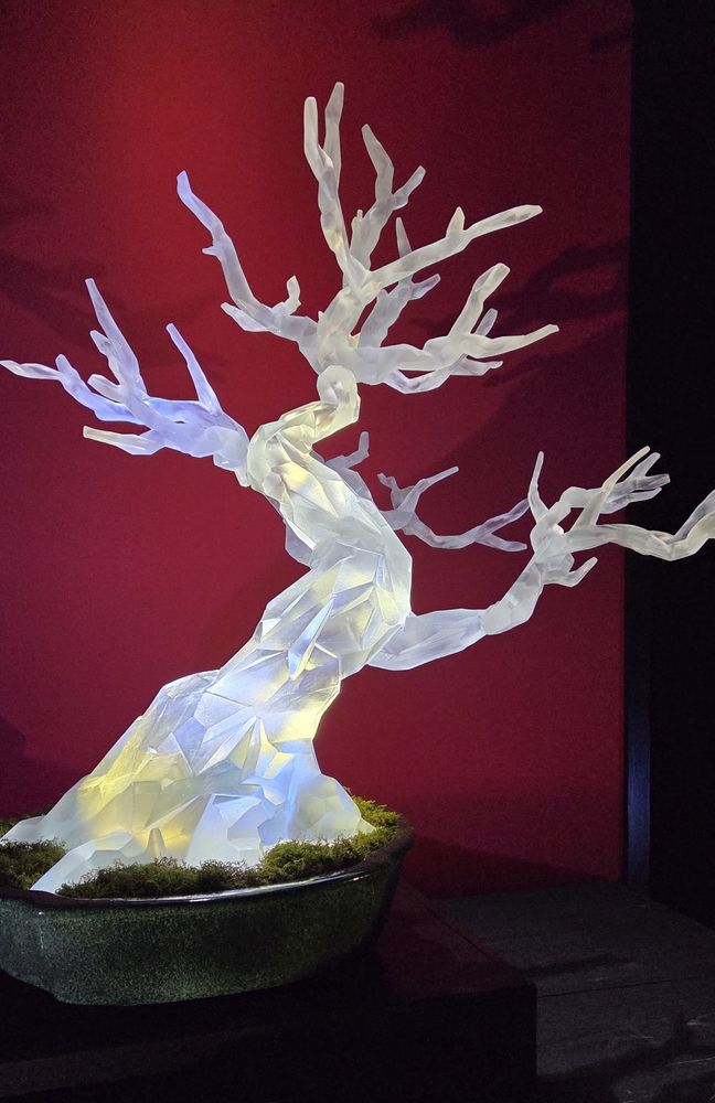 This resin "bonsai" is displayed for the holiday at the front of the outdoor bonsai area.  
Many of Longwood's bonsai are hardy plants that need a winter, so the display is open year round.