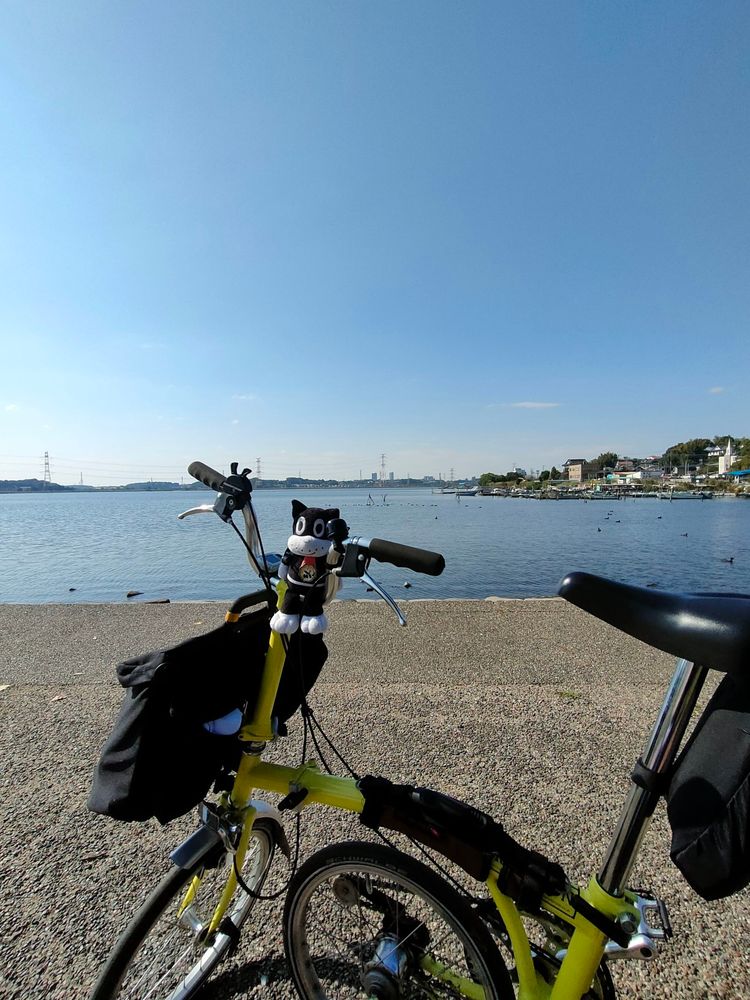 ゴール地点の手賀沼公園