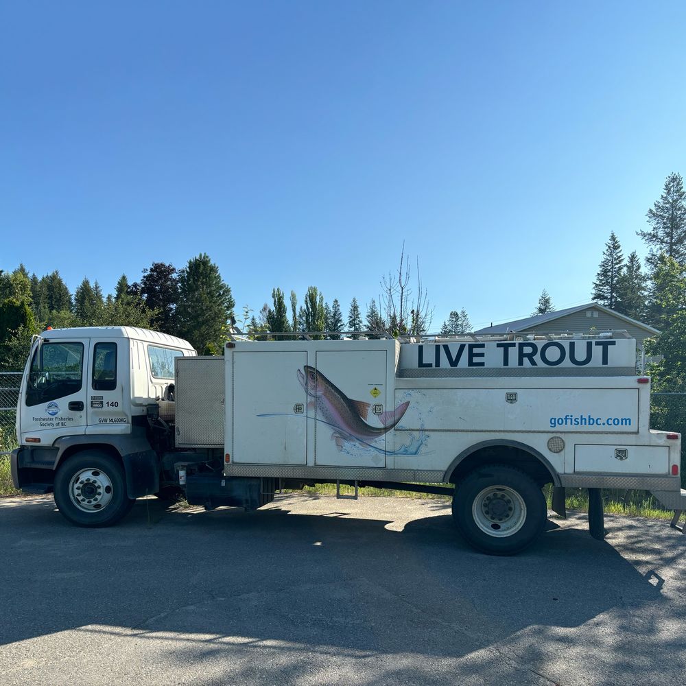 A white truck carrying a large tank that says LIVE TROUT on the side.